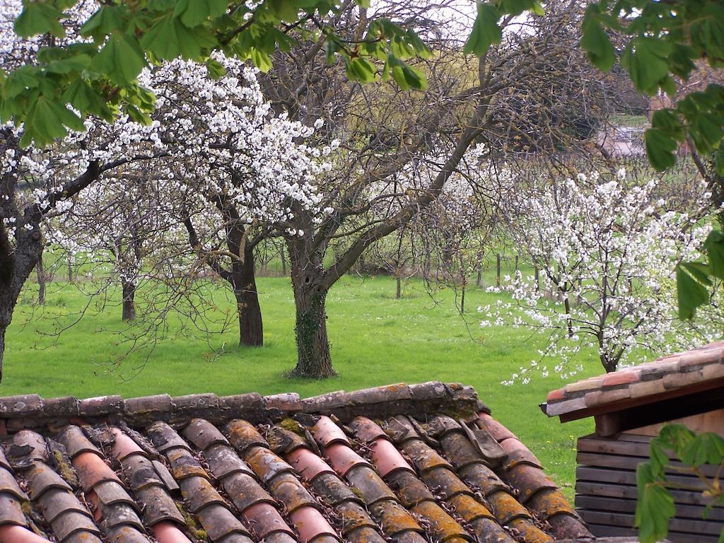 Clos De Pomeir Pensjonat Pommiers  Zewnętrze zdjęcie